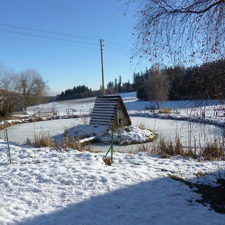 Wellnesshotel Schiesselhof Grafenhausen Luaran gambar