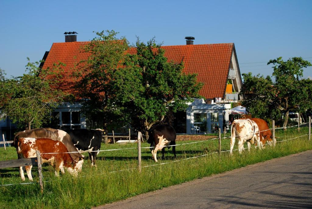 Wellnesshotel Schiesselhof Grafenhausen Bilik gambar