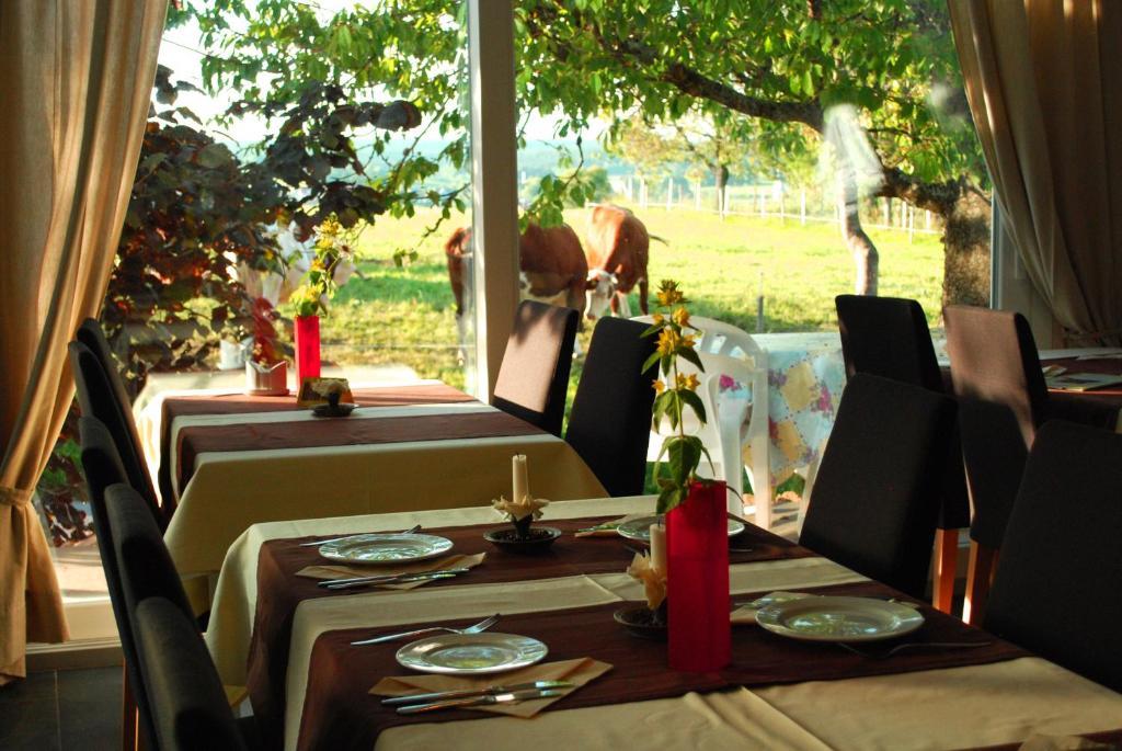 Wellnesshotel Schiesselhof Grafenhausen Bilik gambar