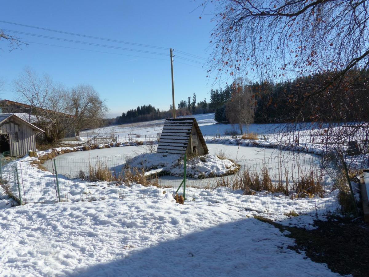 Wellnesshotel Schiesselhof Grafenhausen Luaran gambar